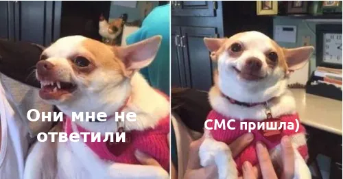 Лучше отправить сообщение, чем не отправить